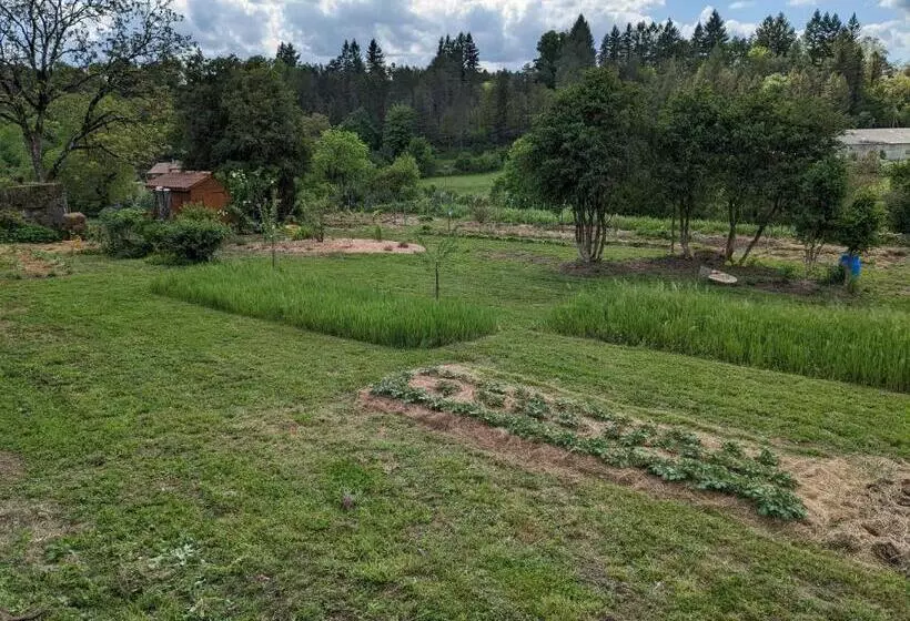 Aamiaismajoitus (B&B) La Grange Symphorine, Chambre D Hôtes De Charme Située Entre La Vallée De La Dordogne Et La Vallée D