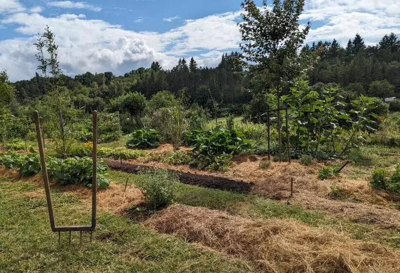 Aamiaismajoitus (B&B) La Grange Symphorine, Chambre D Hôtes De Charme Située Entre La Vallée De La Dordogne Et La Vallée D