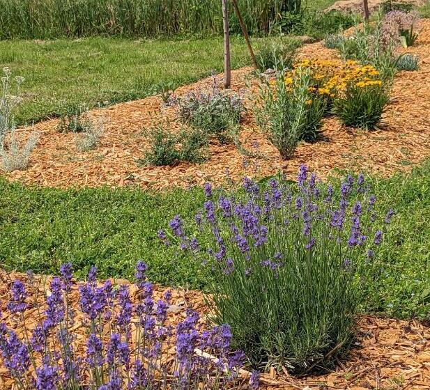 민박 La Grange Symphorine, Chambre D Hôtes De Charme Située Entre La Vallée De La Dordogne Et La Vallée D
