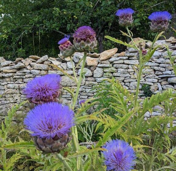 민박 La Grange Symphorine, Chambre D Hôtes De Charme Située Entre La Vallée De La Dordogne Et La Vallée D