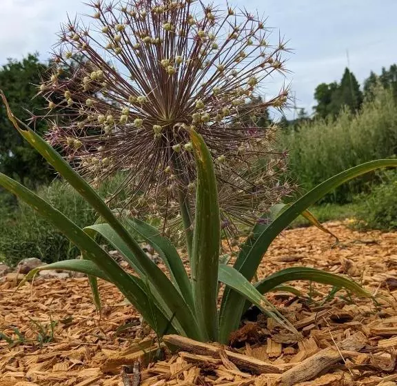 Aamiaismajoitus (B&B) La Grange Symphorine, Chambre D Hôtes De Charme Située Entre La Vallée De La Dordogne Et La Vallée D