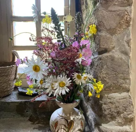 Aamiaismajoitus (B&B) Le Montesser