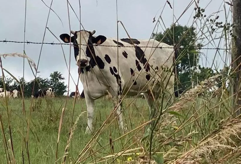 Aamiaismajoitus (B&B) Le Montesser