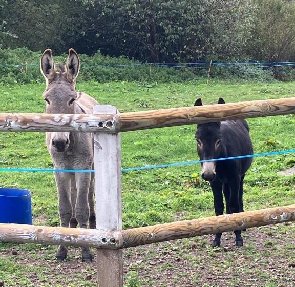 צימר Le Montesser