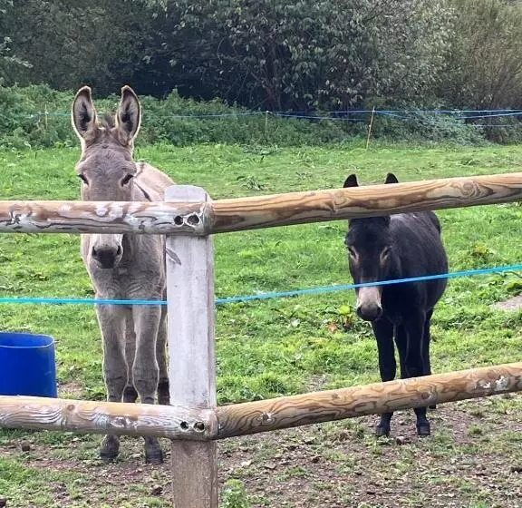 Aamiaismajoitus (B&B) Le Montesser