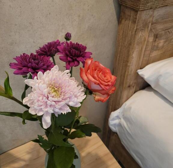 تختخواب و صبحانه Luvlé Stay