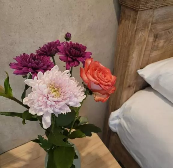 تختخواب و صبحانه Luvlé Stay