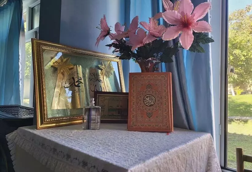 Gabala Garden Hostel