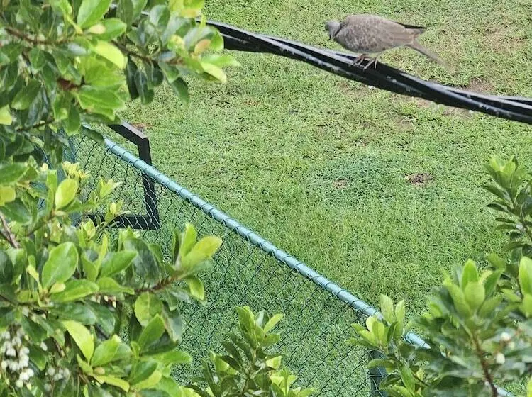 ホテル Ellakanda Nature Villa