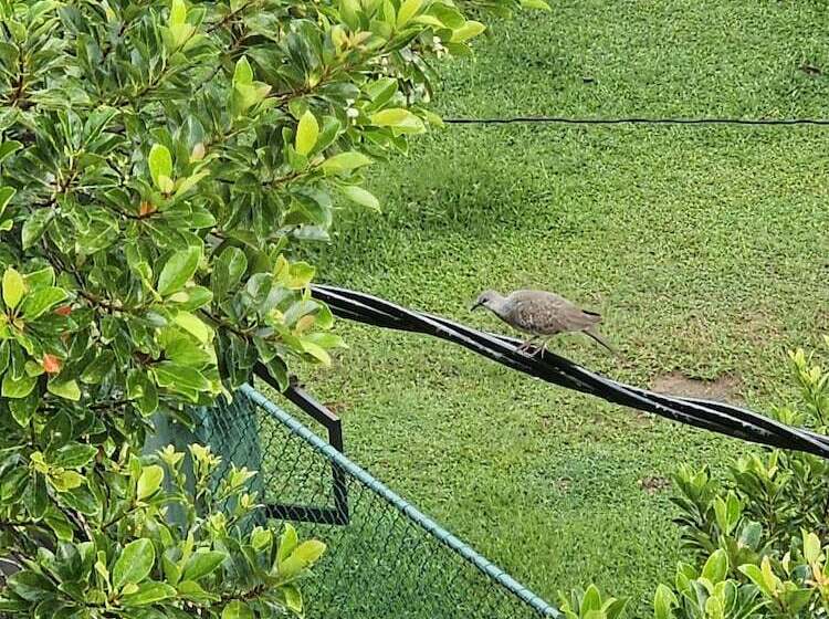 호텔 Ellakanda Nature Villa