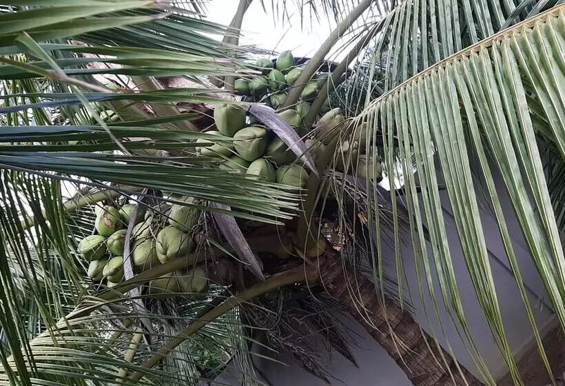 ホテル Ellakanda Nature Villa