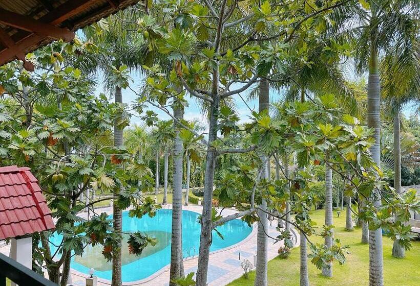 هتل Khách Sạn Hoàng Mai Dung Quất