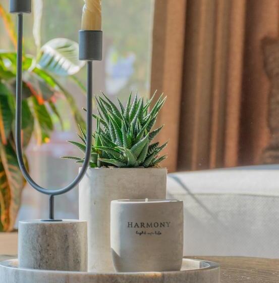 فندق Osetia Garden