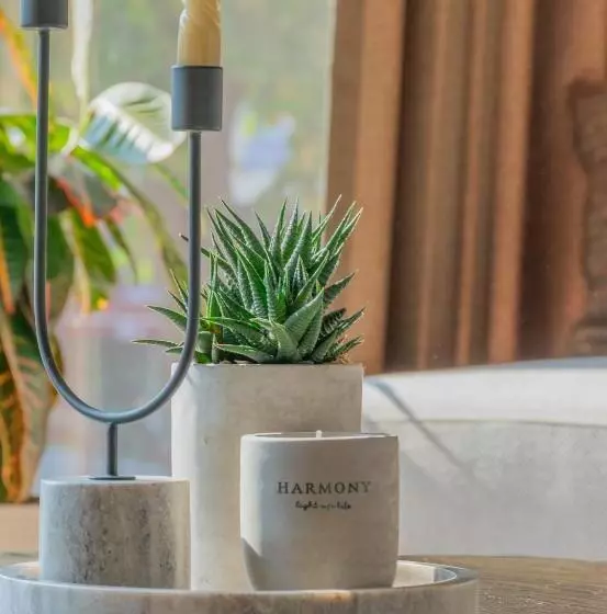 Hotelli Osetia Garden