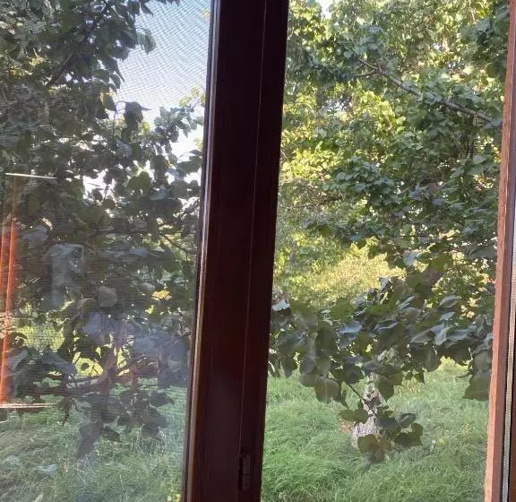 پانسیون Guest House Akjol