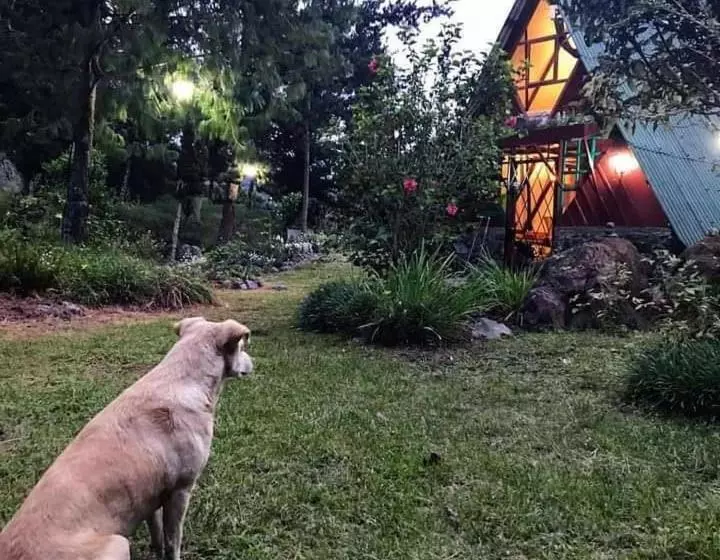 پانسیون The Lookout Hideaway Cabin