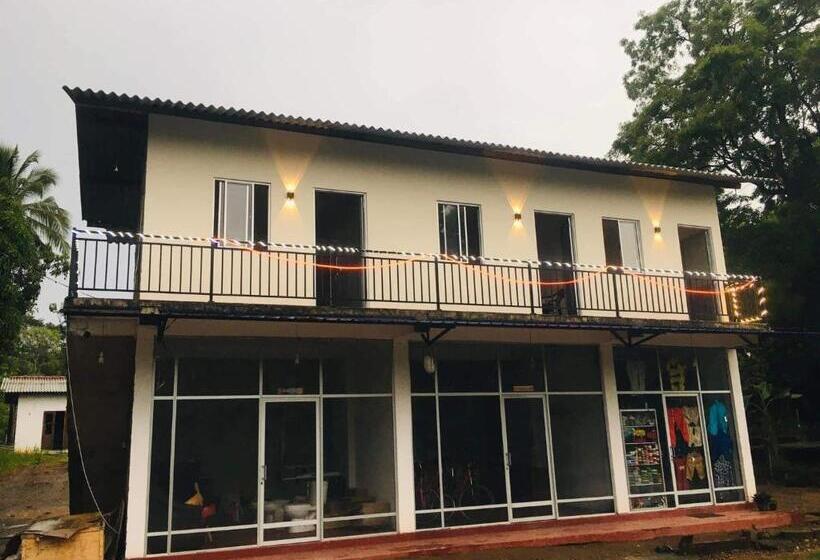 Pensione Tulip Hostel