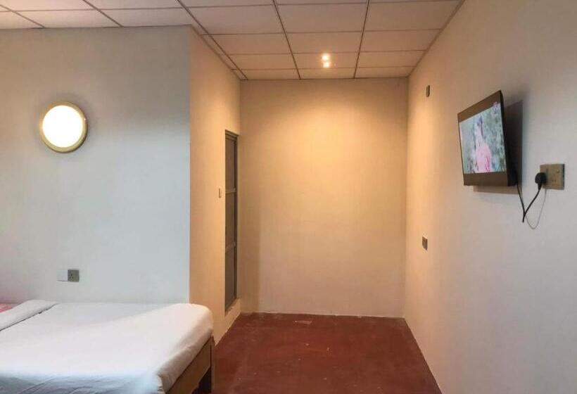 Pensjonat Tulip Hostel