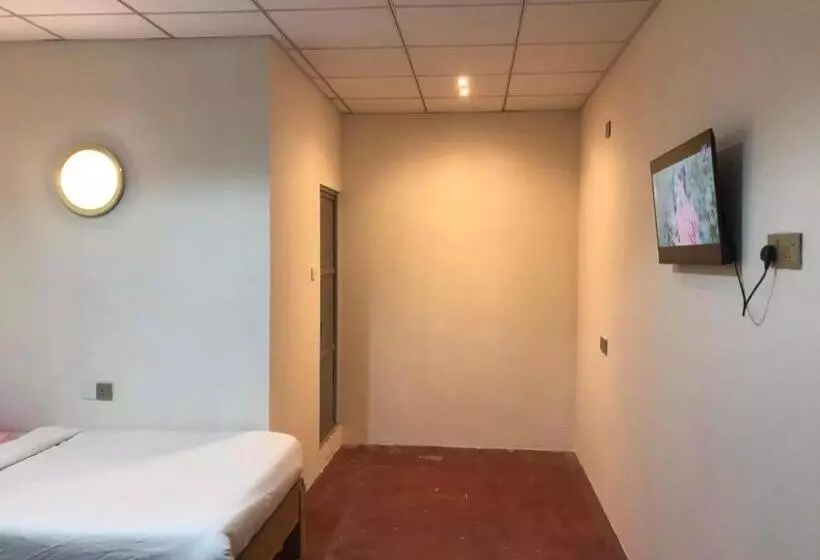 ペンション Tulip Hostel