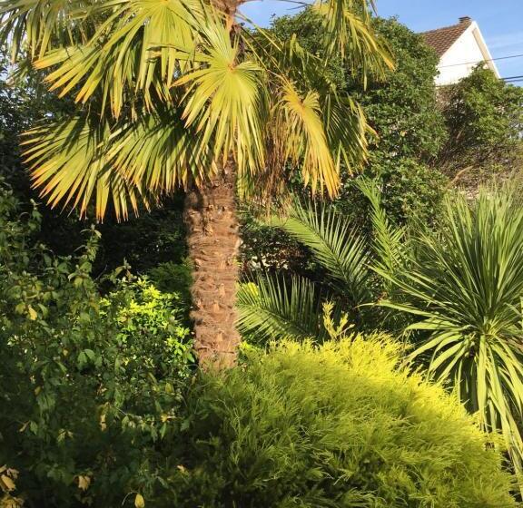 تختخواب و صبحانه Chambre Spacieuse Et Lumineuse