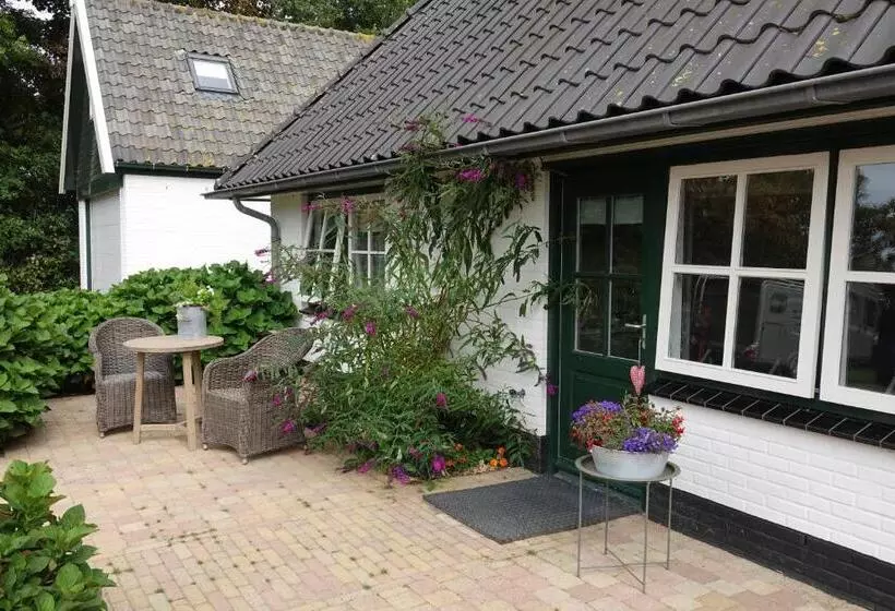 Aamiaismajoitus (B&B) Terras Kamer