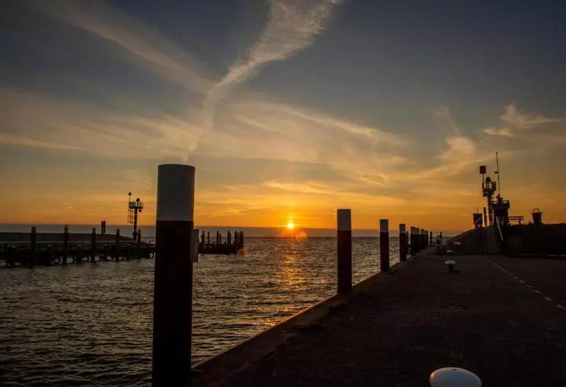 Aamiaismajoitus (B&B) Terras Kamer