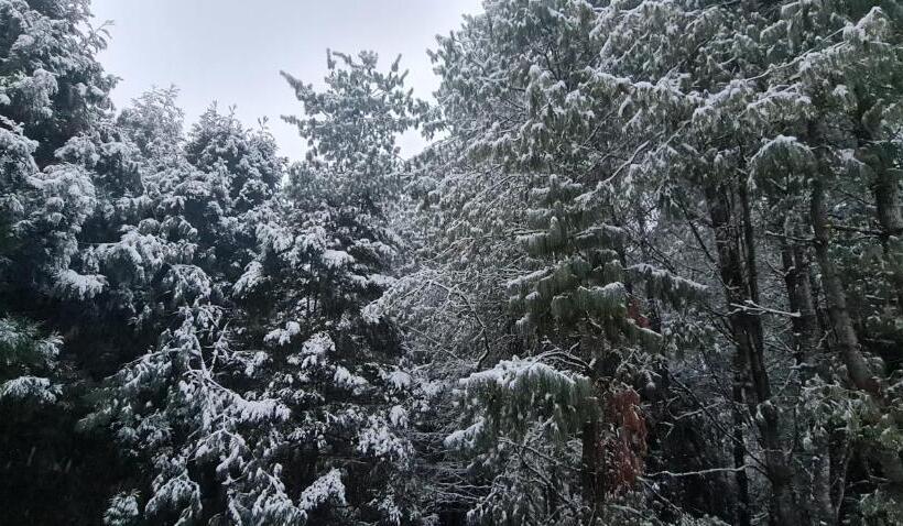 בית מלון כפרי Dewa Elegance