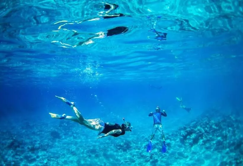 Katiet Beach Resort Mentawai Lances Right Hts