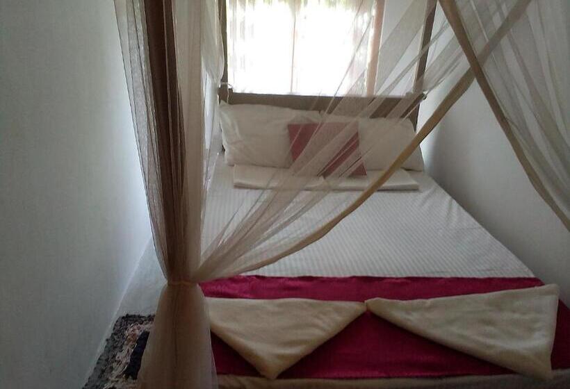 بنسيون Avinkavilla