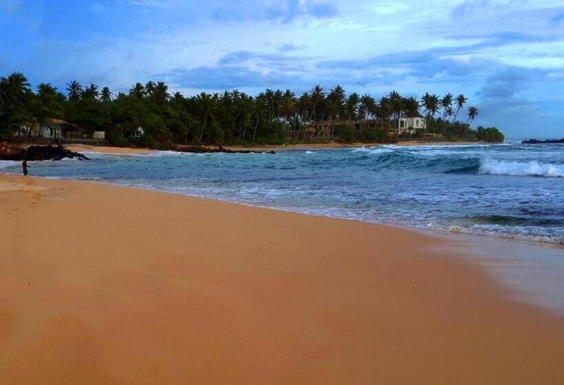 بنسيون Avinkavilla