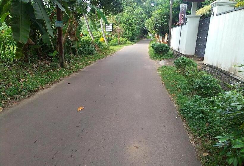 بنسيون Avinkavilla