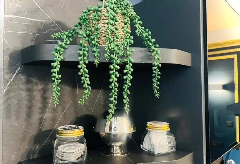 پانسیون Studio Royal Saint Omer Centre