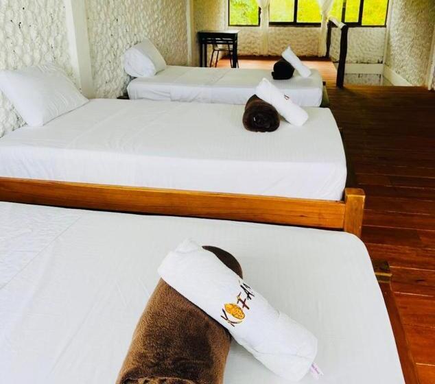 渡假胜地 Kofan Eco