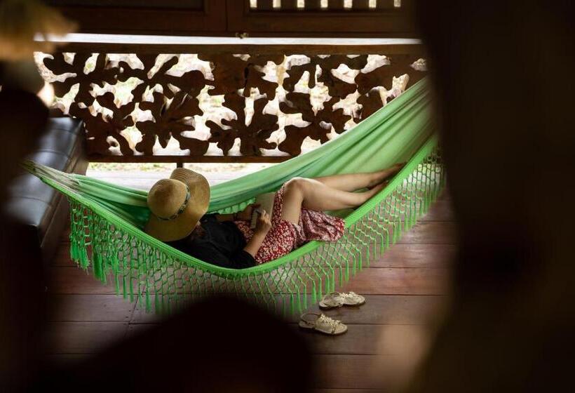 渡假胜地 Kofan Eco