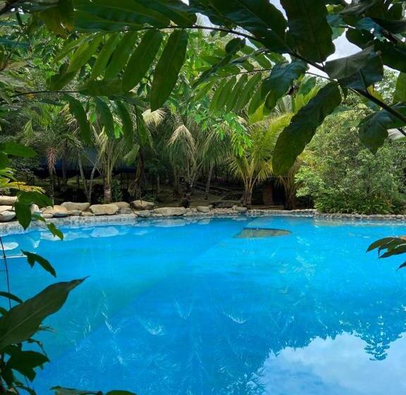 渡假胜地 Kofan Eco