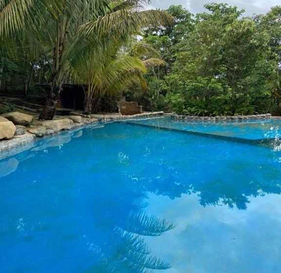 渡假胜地 Kofan Eco