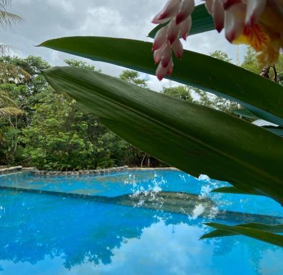 渡假胜地 Kofan Eco