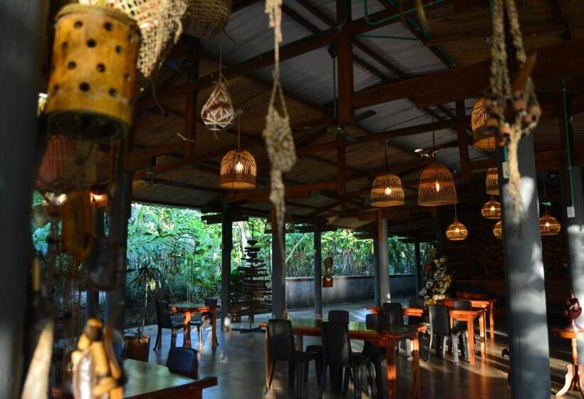 渡假胜地 Kofan Eco