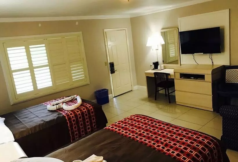 ホテル Apollo Inn Cocoa