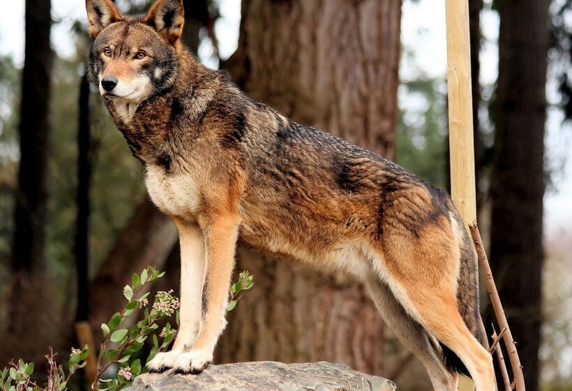 Отель Cypress Moon Inn