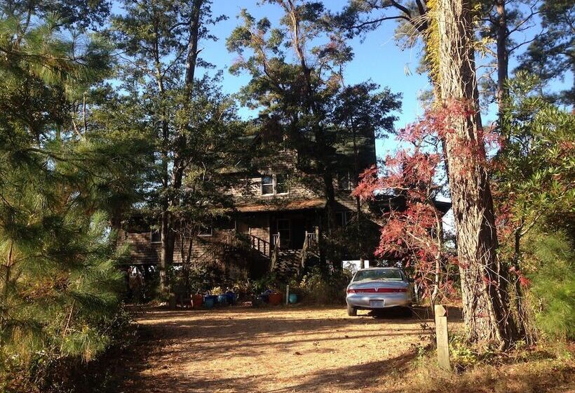 Отель Cypress Moon Inn