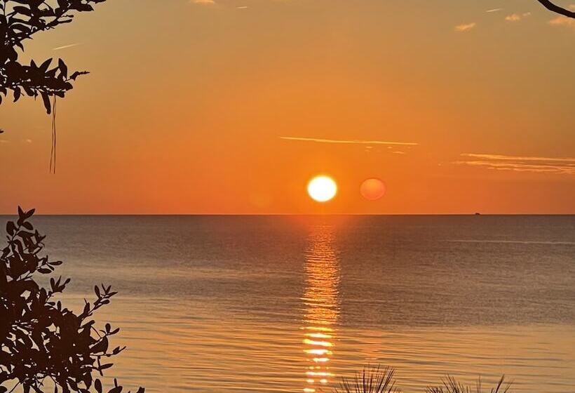 Отель Cypress Moon Inn