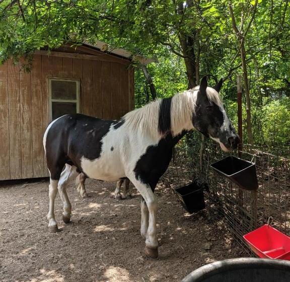 هتل Dragonfly Mountain Lodge