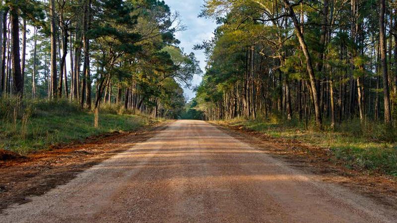 בית מלון כפרי Holiday Inn Club Vacations Piney Shores Resort At Lake Conroe