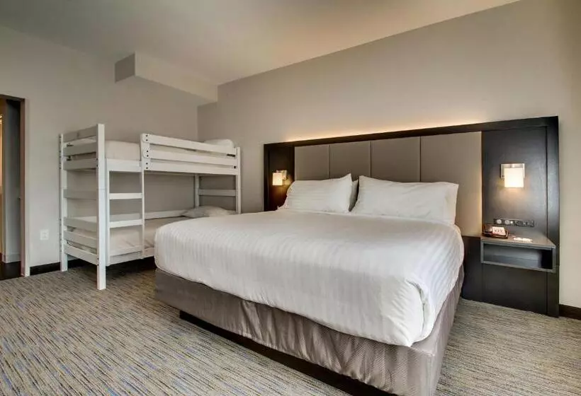 ホテル Holiday Inn Express & Suites Charleston Ne Mt Pleasant Us17, An Ihg