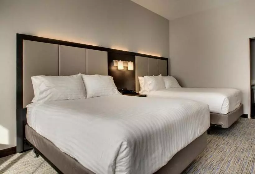 ホテル Holiday Inn Express & Suites Charleston Ne Mt Pleasant Us17, An Ihg