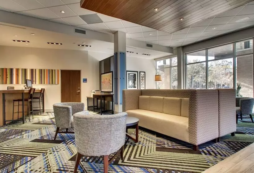 ホテル Holiday Inn Express & Suites Charleston Ne Mt Pleasant Us17, An Ihg