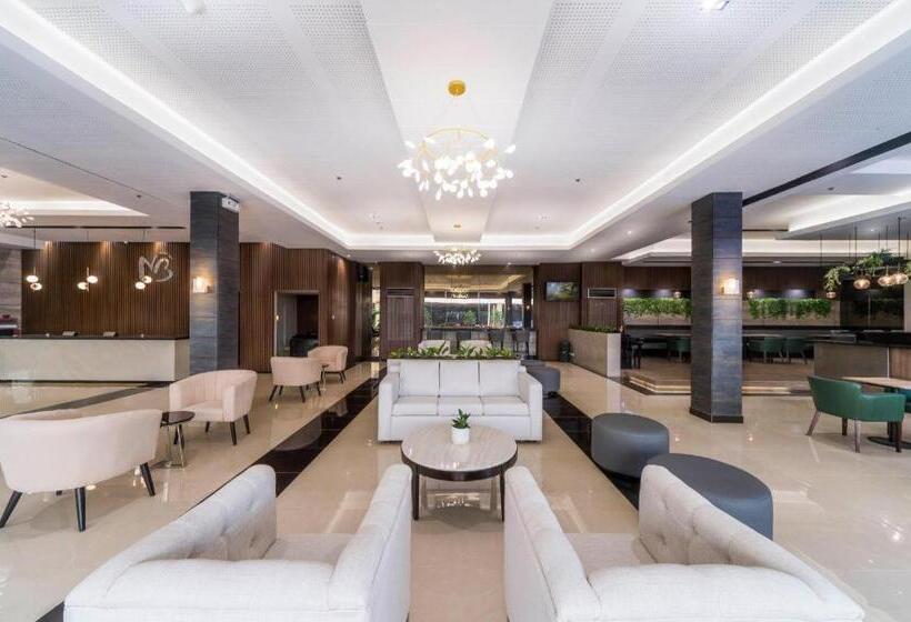 فندق Mallberry Suites Business