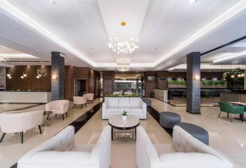 هتل Mallberry Suites Business