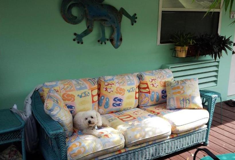 酒店 Mango Street Inn